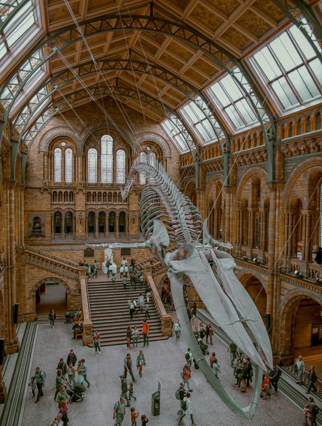 Victoria and Albert Museum, London, United Kingdom